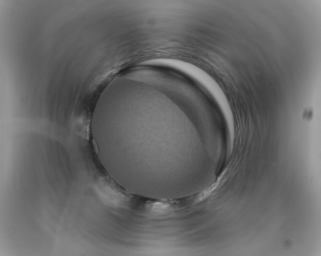 X0000094170180200710261117