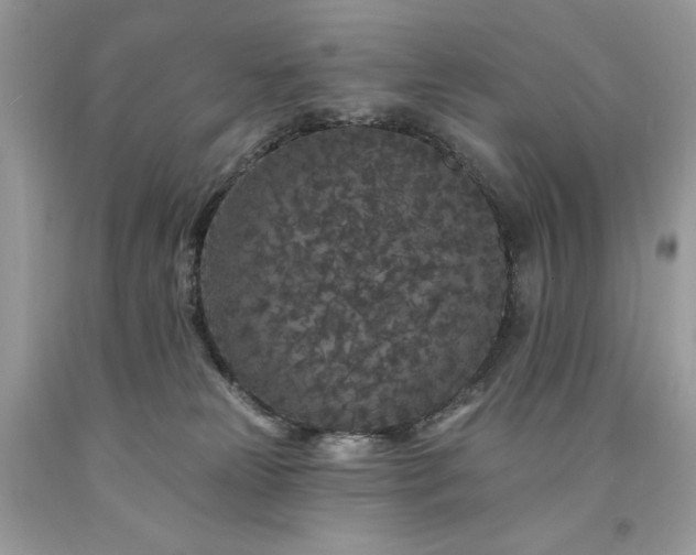 X0000094170181200710261117