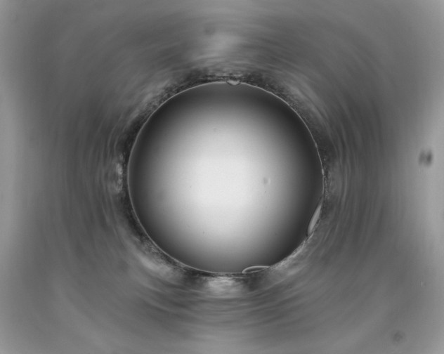 X0000094170183200710261117