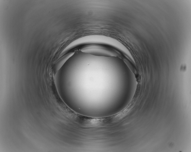 X0000094170184200710261117