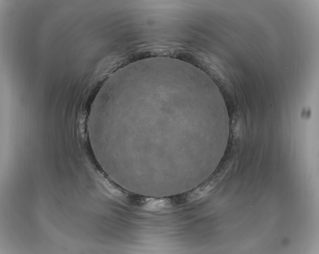 X0000094170185200710261117