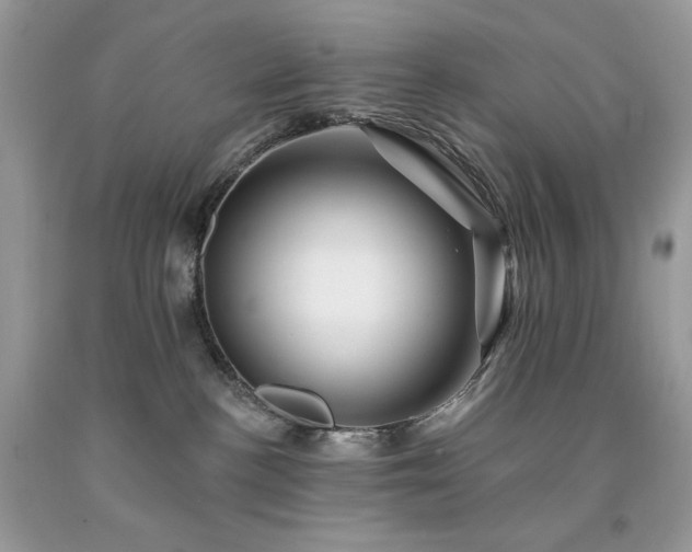 X0000094170188200710261117