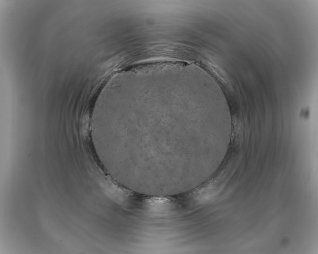 X0000094170189200710261117