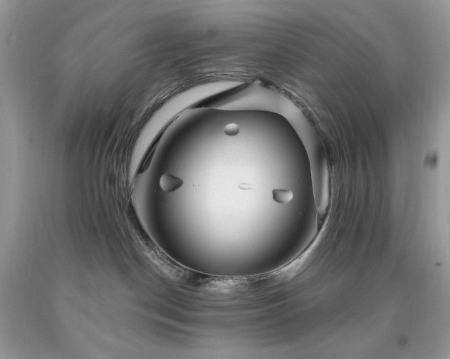 X0000094170190200710261117