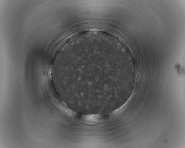 X0000094170191200710261117