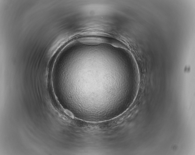 X0000094170194200710261116