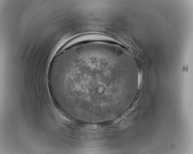 X0000094170195200710261116