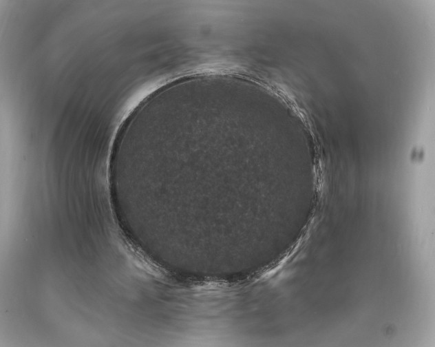 X0000094170196200710261116