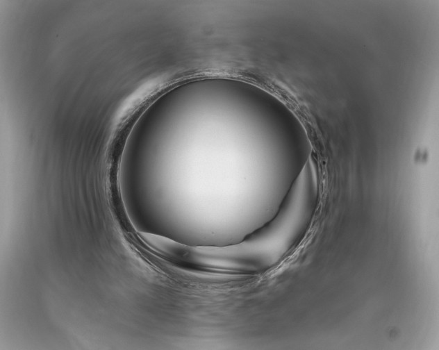 X0000094170197200710261116