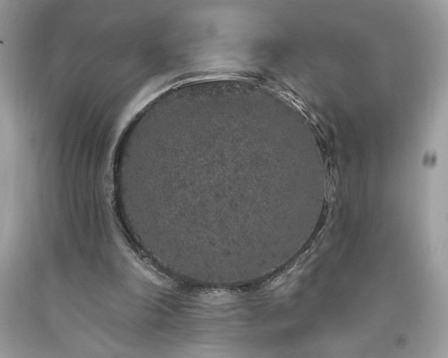 X0000094170198200710261116