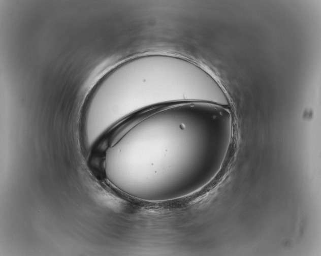 X0000094170199200710261116