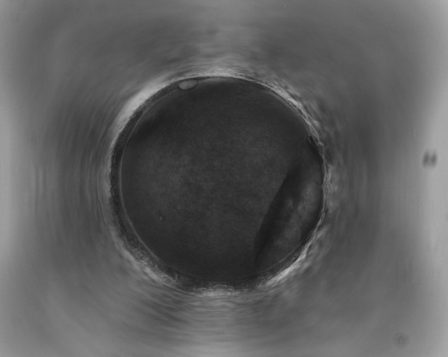 X0000094170200200710261116