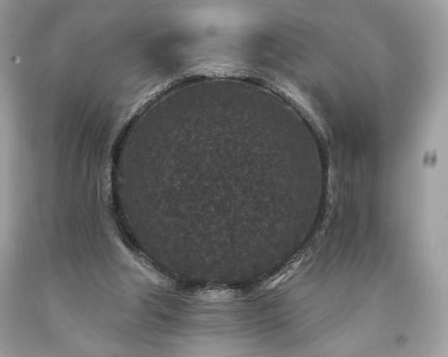 X0000094170202200710261116