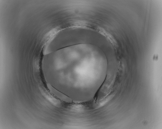 X0000094170203200710261116