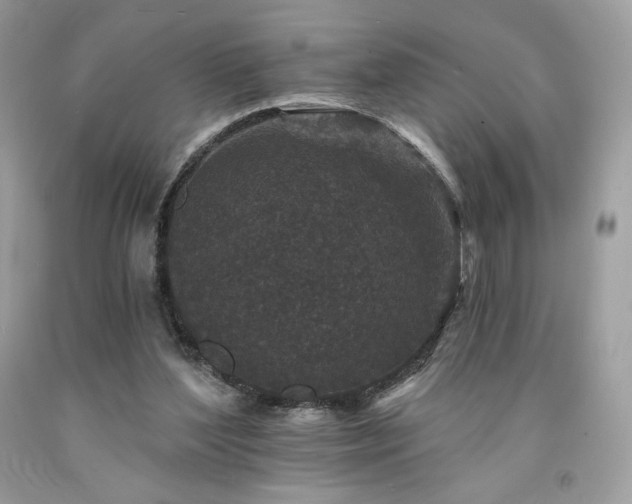 X0000094170204200710261116