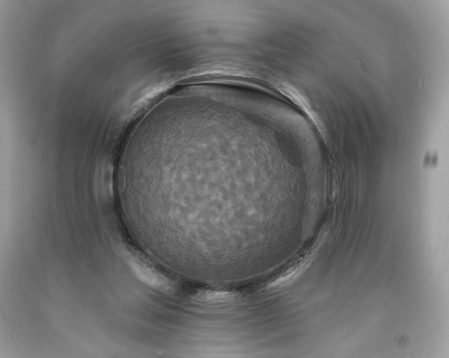X0000094170205200710261116