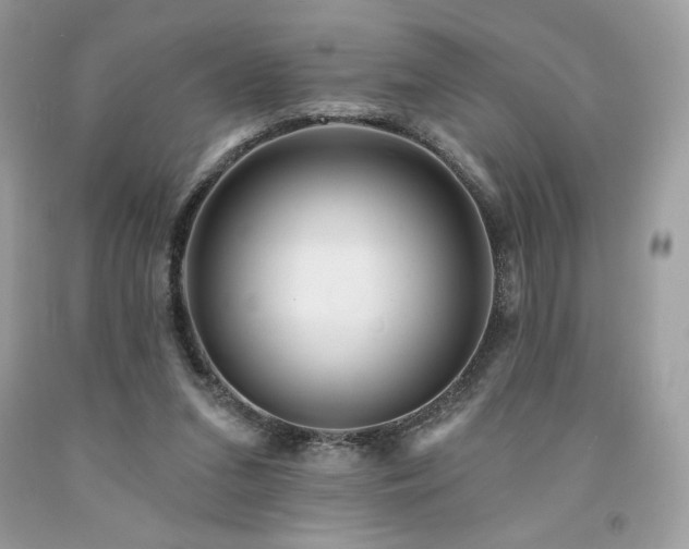 X0000094170207200710261116