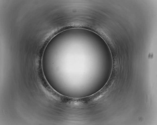 X0000094170208200710261116