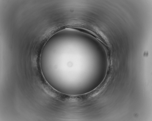 X0000094170209200710261116