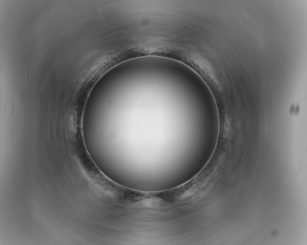 X0000094170210200710261116