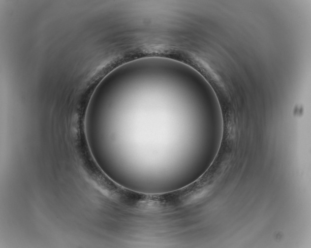 X0000094170211200710261116