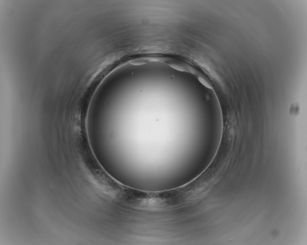 X0000094170212200710261116