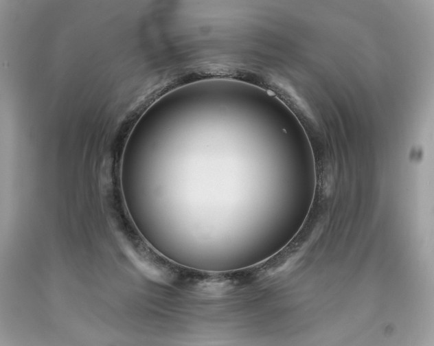 X0000094170213200710261116