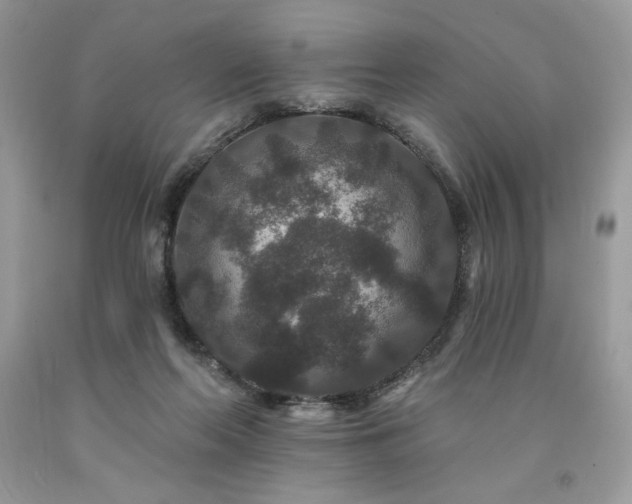 X0000094170214200710261116