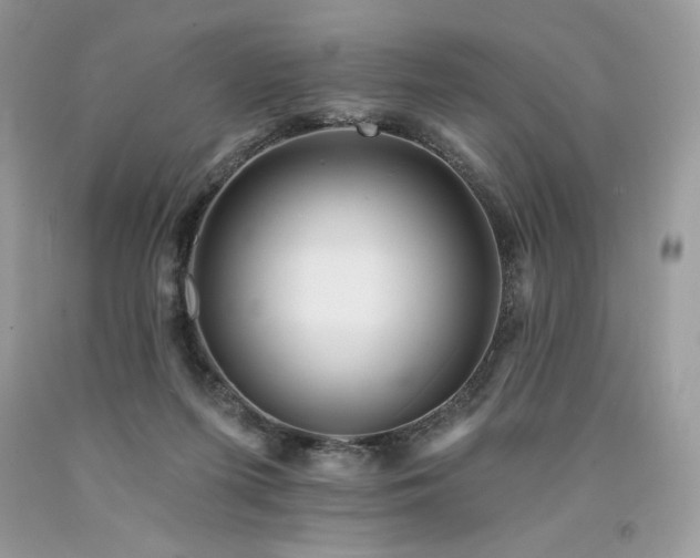 X0000094170215200710261116
