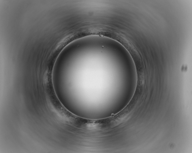 X0000094170216200710261116