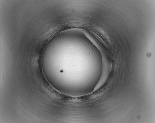 X0000094170217200710261116