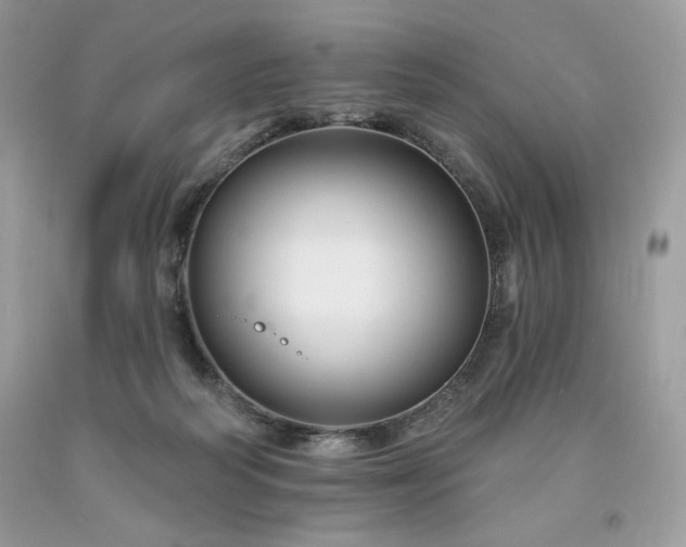 X0000094170218200710261116