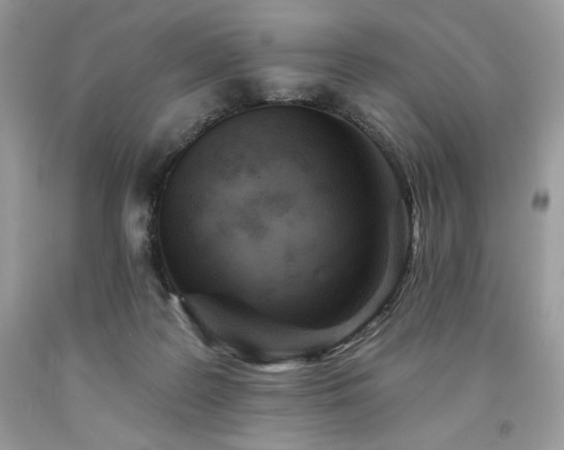 X0000094170219200710261116