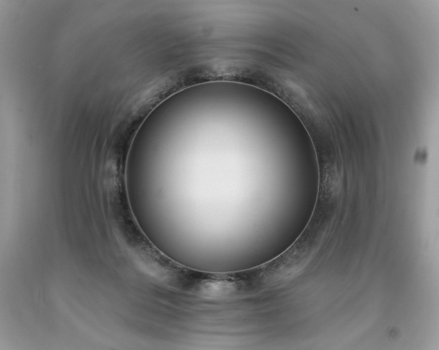 X0000094170220200710261116