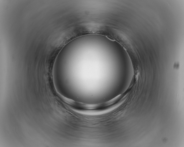 X0000094170221200710261116