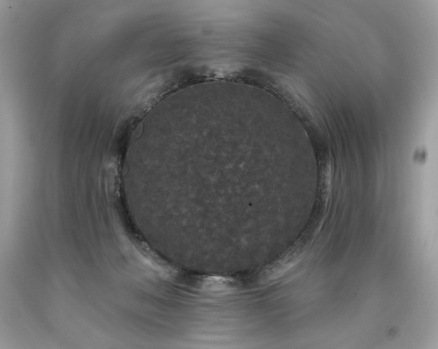 X0000094170222200710261116