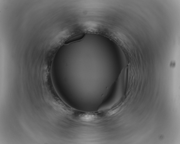 X0000094170223200710261116
