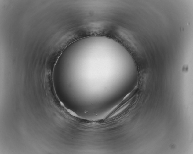 X0000094170225200710261116