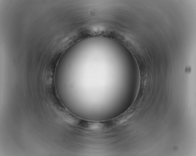 X0000094170226200710261116