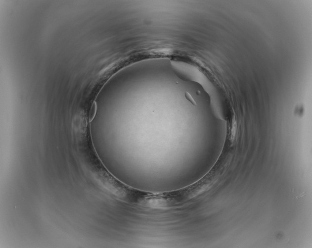 X0000094170228200710261116