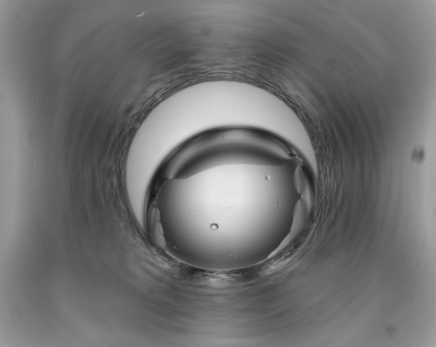 X0000094170229200710261116