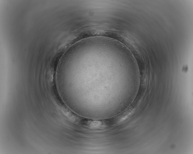 X0000094170230200710261116