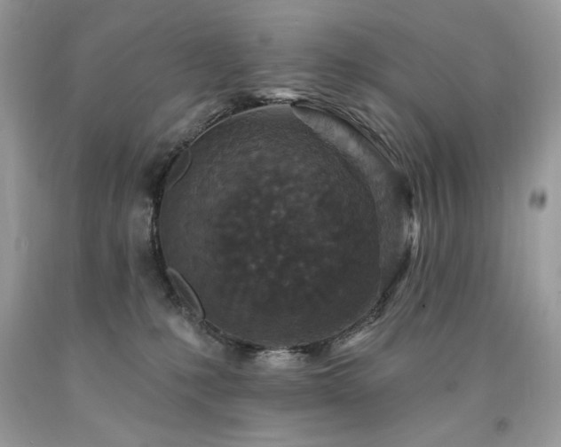 X0000094170231200710261116