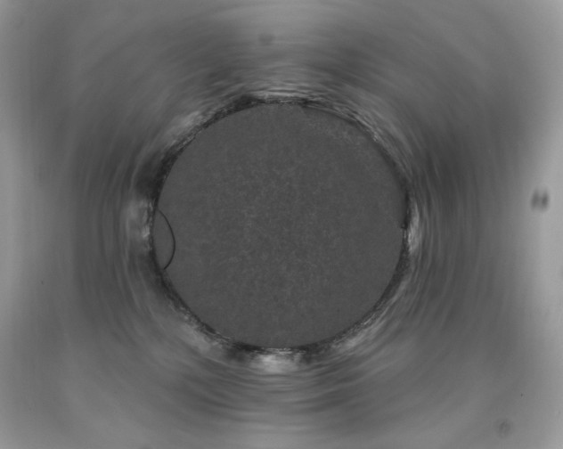 X0000094170232200710261116