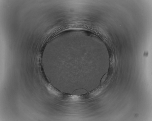 X0000094170233200710261116