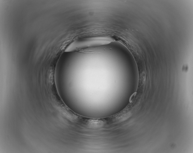 X0000094170234200710261116