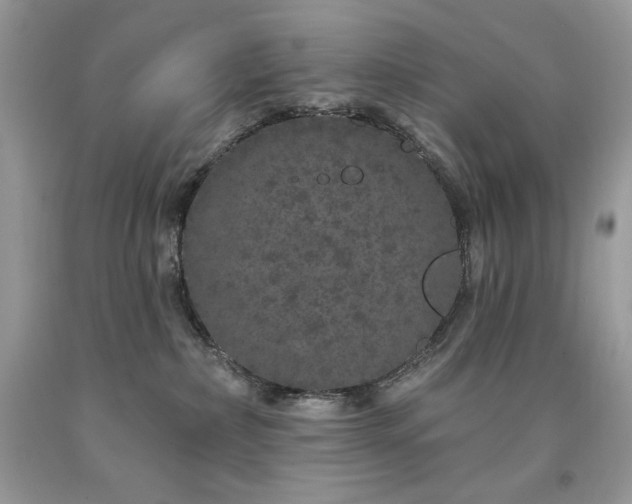 X0000094170236200710261116