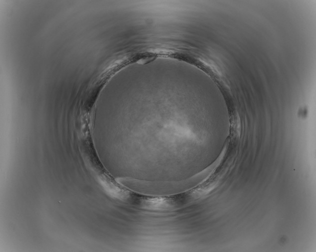 X0000094170237200710261116