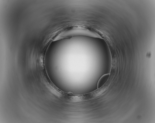 X0000094170238200710261116