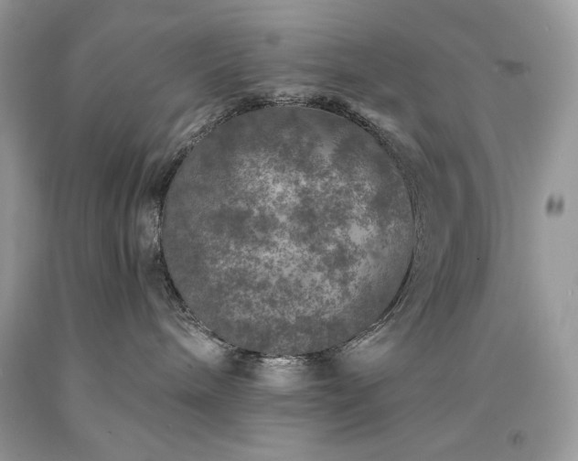 X0000094170240200710261116